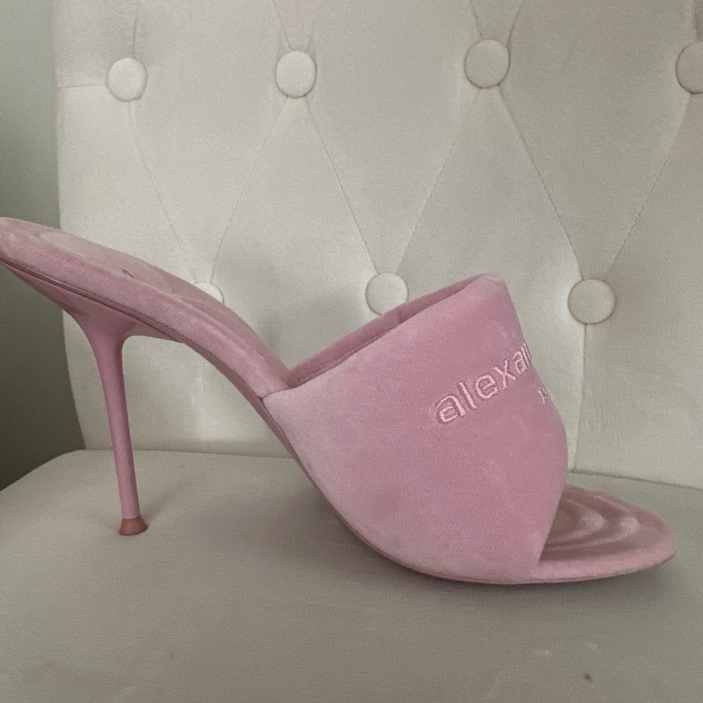 Alexander Wang Stiletto Slide